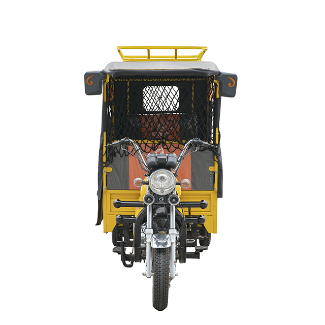  SL200ZH-D1 Tricycle