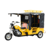  SL200ZH-D1 Tricycle
