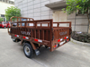  SL150ZH-S2 Tricycle